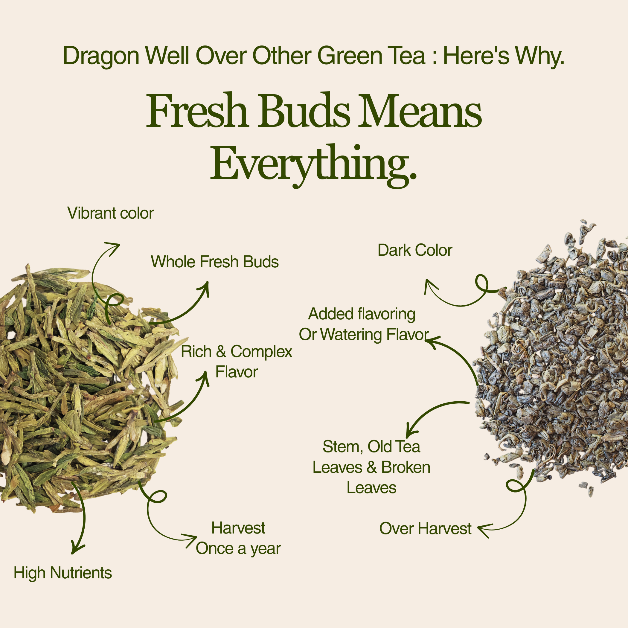 Imperial Dragon Well — 2025 Championship Tea WINNER