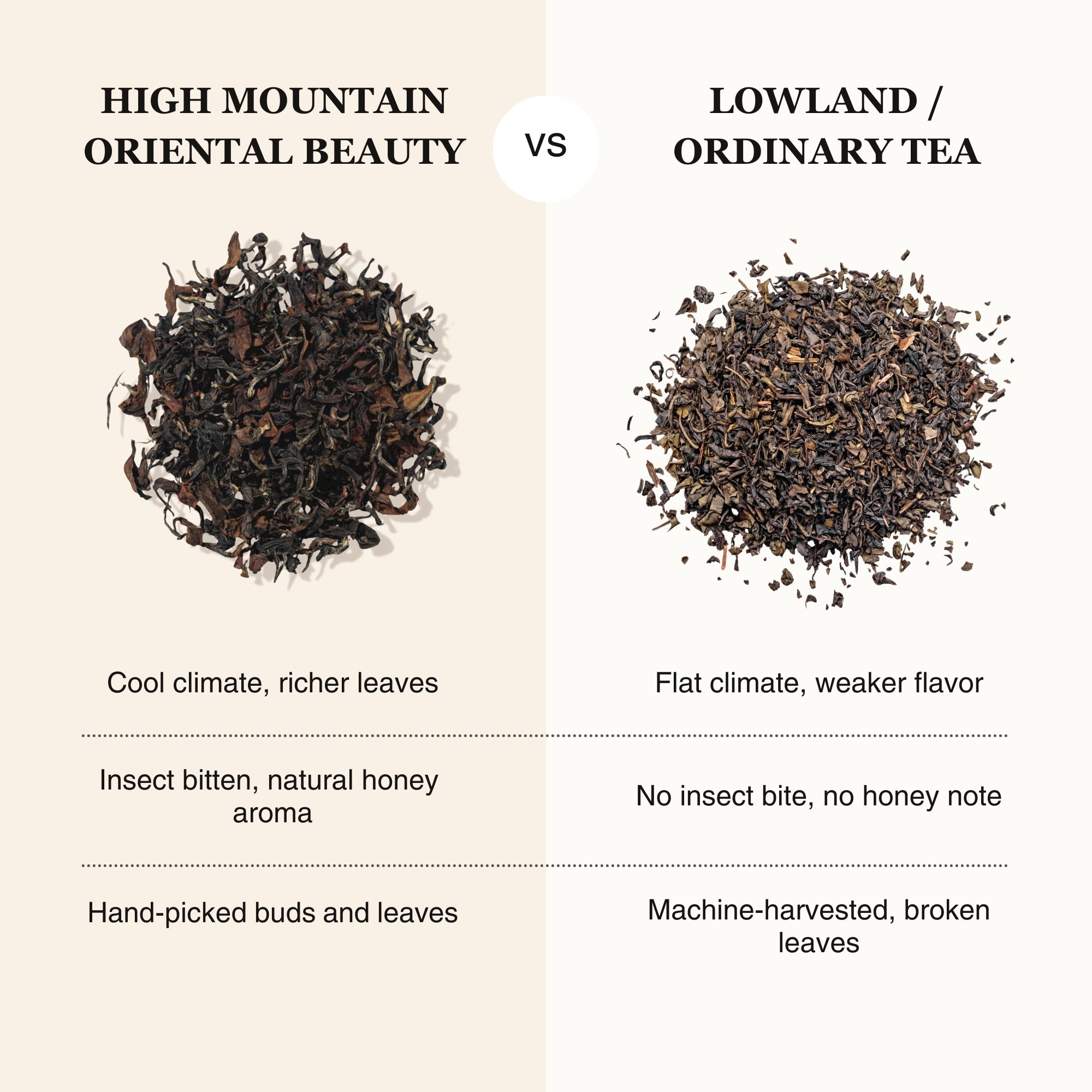 Oriental Beauty Oolong Tea – 50g/1.8oz