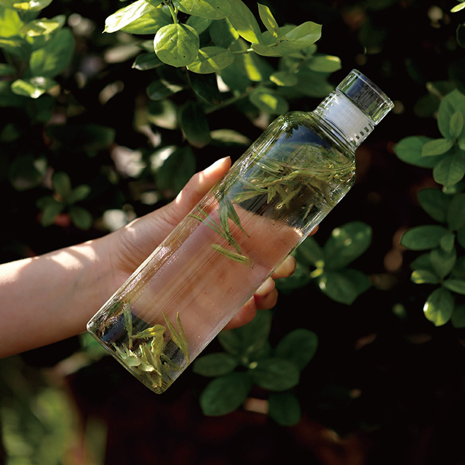 Cold Brew Glass Bottle
