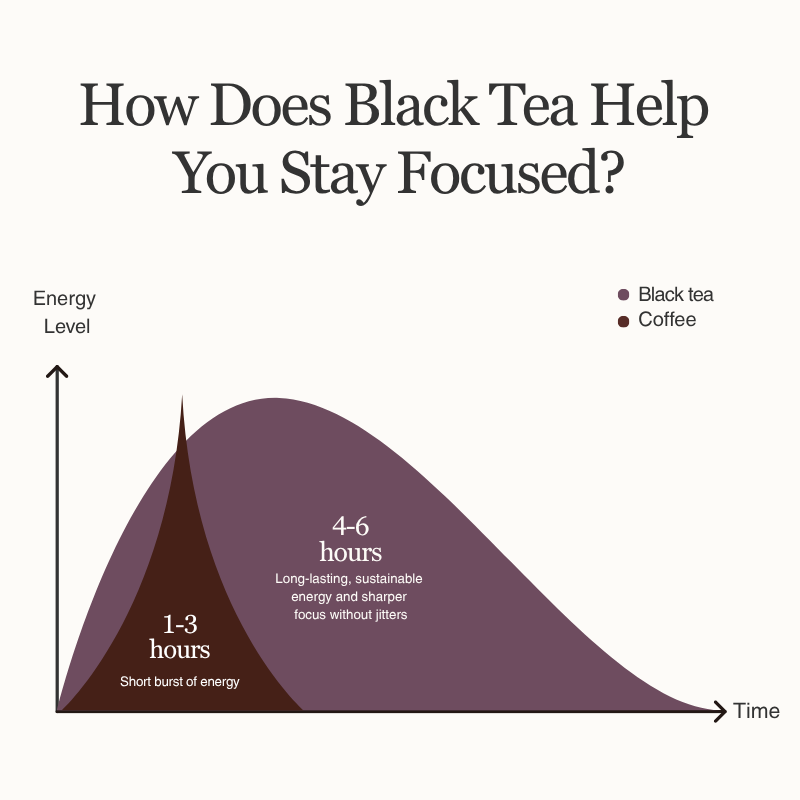 Black Tea Variety | 7 Premium Selections Tea Bags