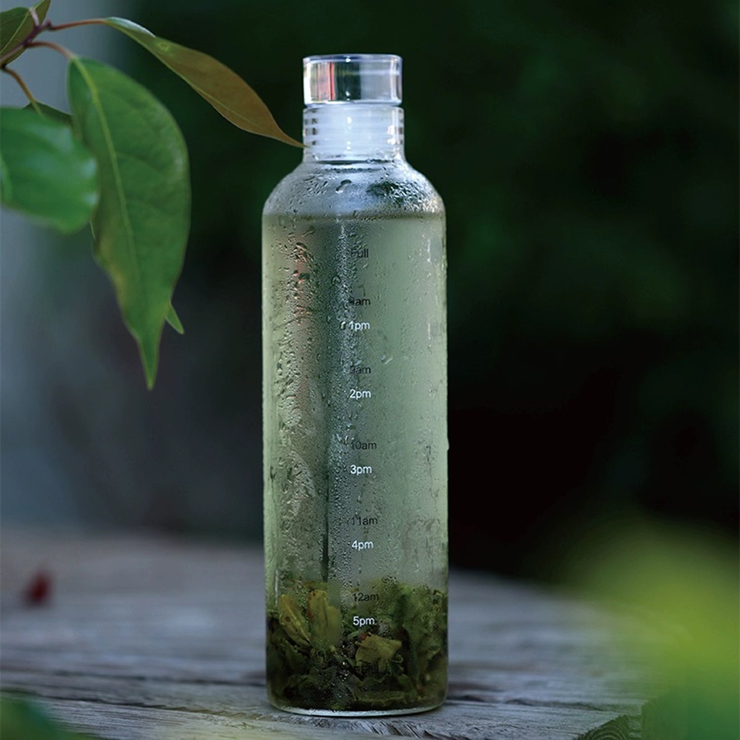 Cold Brew Glass Bottle