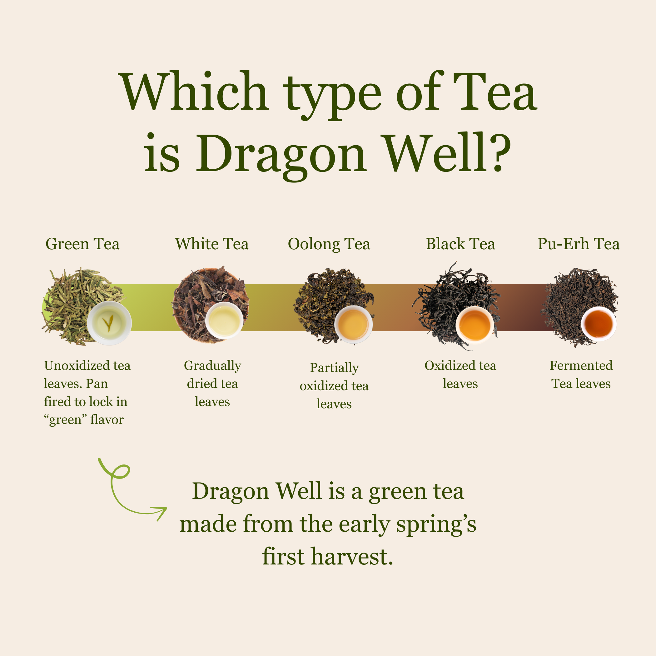 Imperial Dragon Well — 2025 Championship Tea WINNER