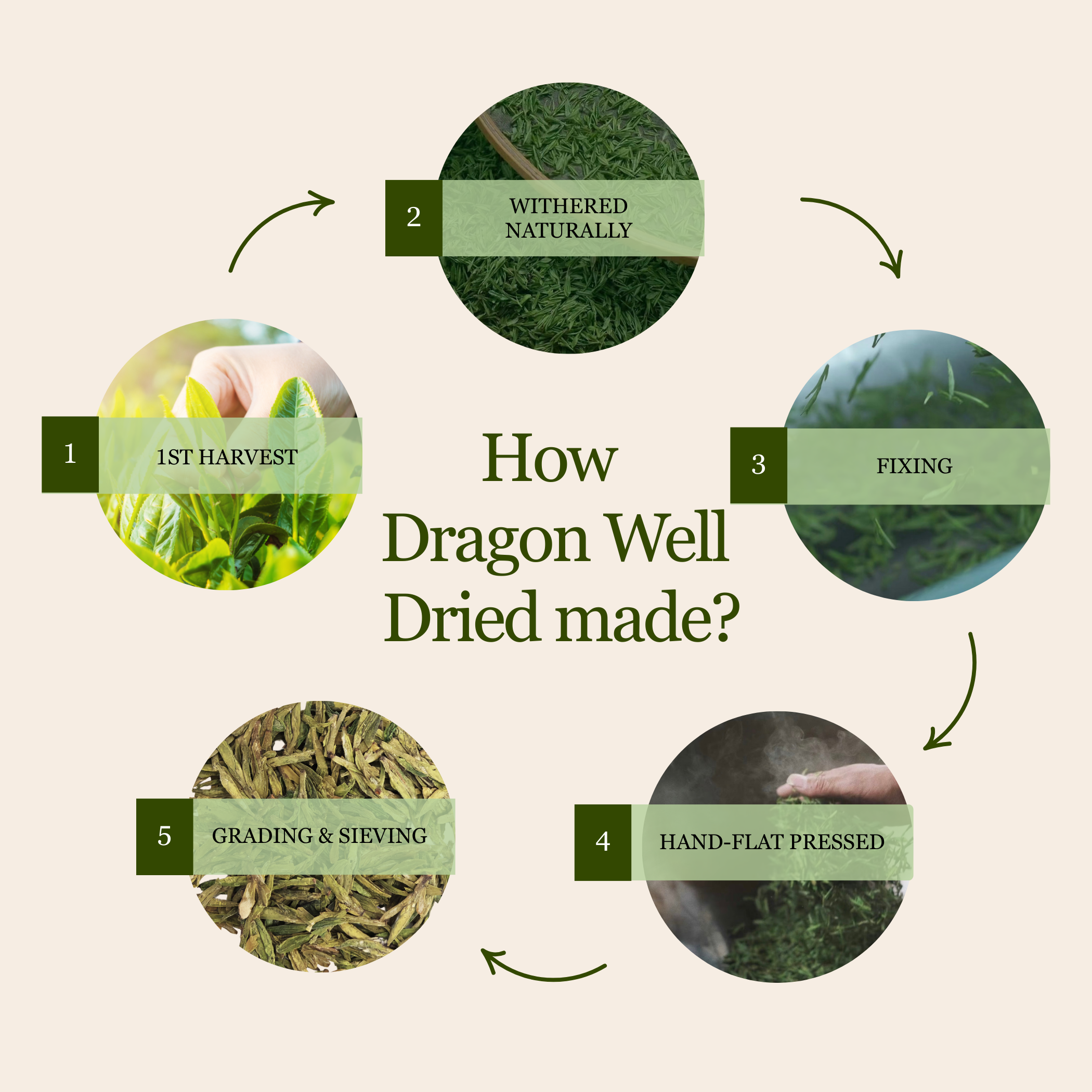 Imperial Dragon Well — 2025 Championship Tea WINNER