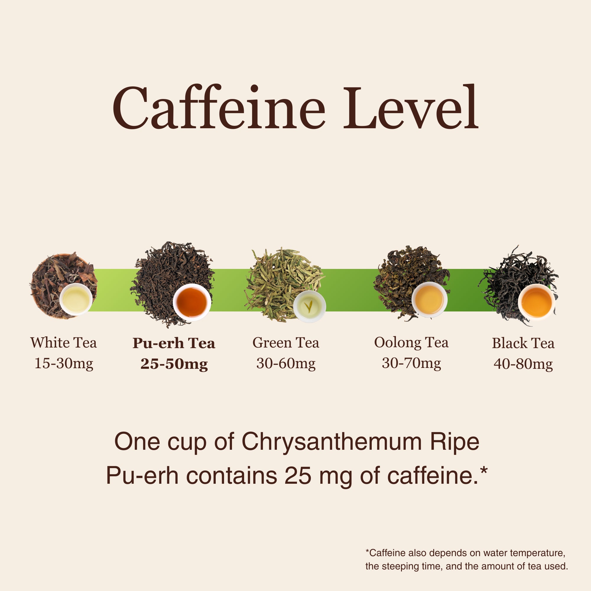 Chrysanthemum Ripe Pu&