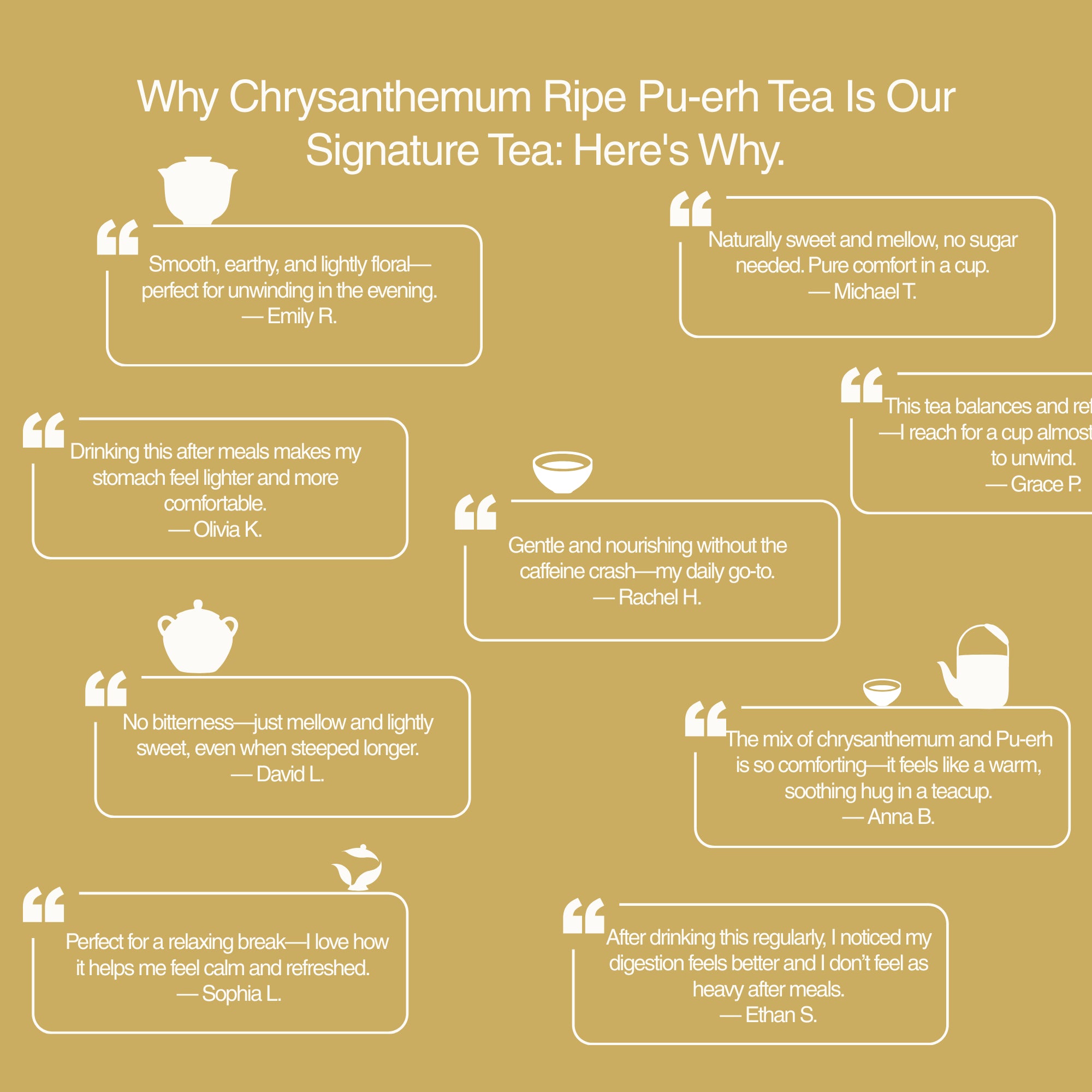 Chrysanthemum Ripe Pu&