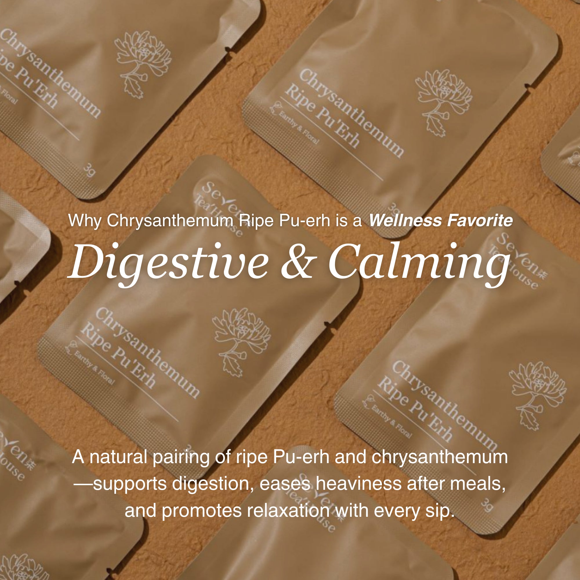 Chrysanthemum Ripe Pu&