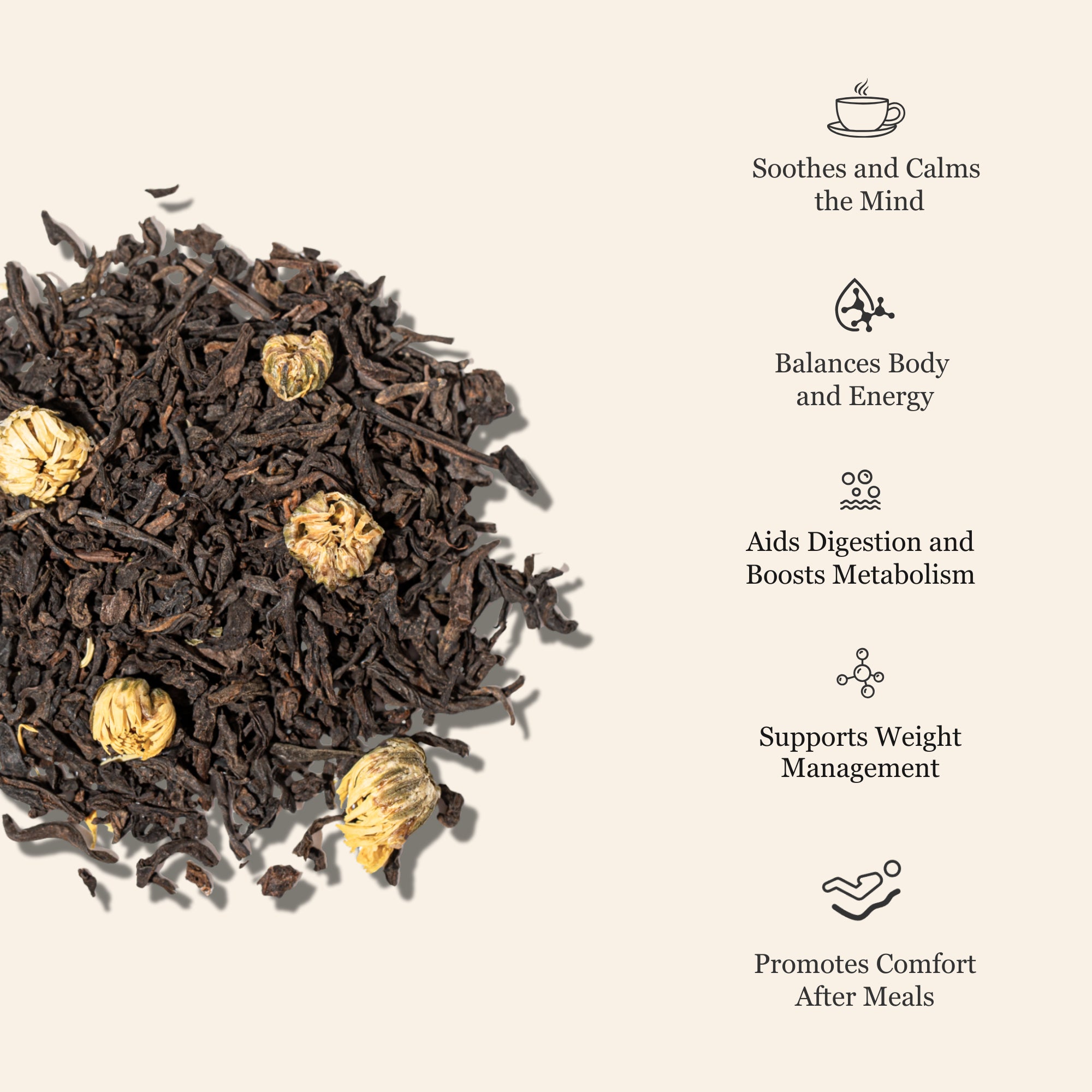 Chrysanthemum Ripe Pu&