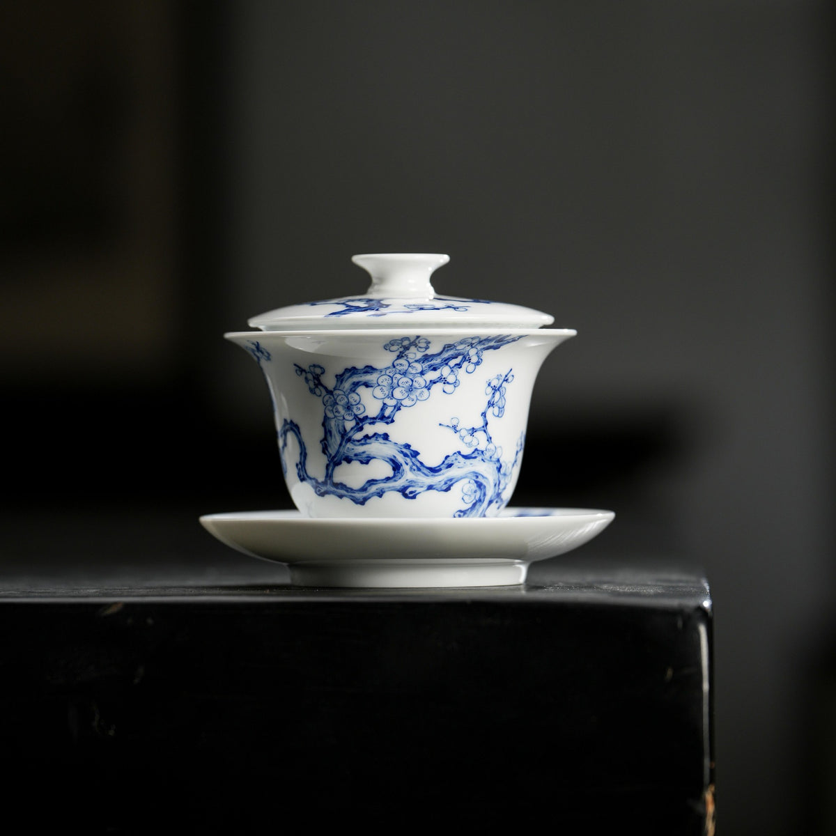 Blue-and-White Filter Gaiwan