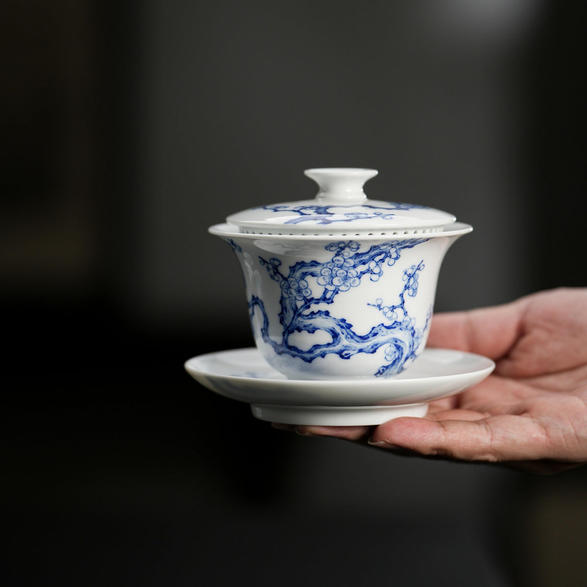 Blue-and-White Filter Gaiwan