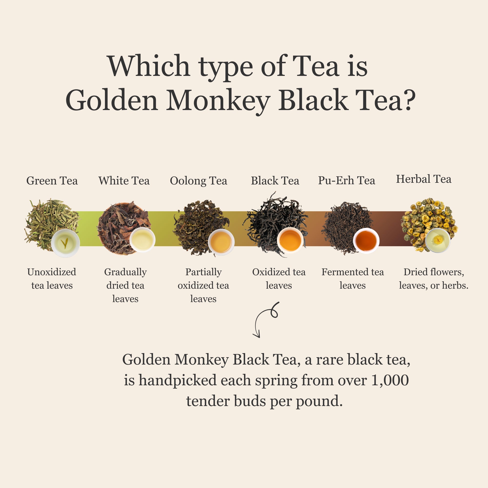 Golden Monkey Black Tea - 50g/1.8oz