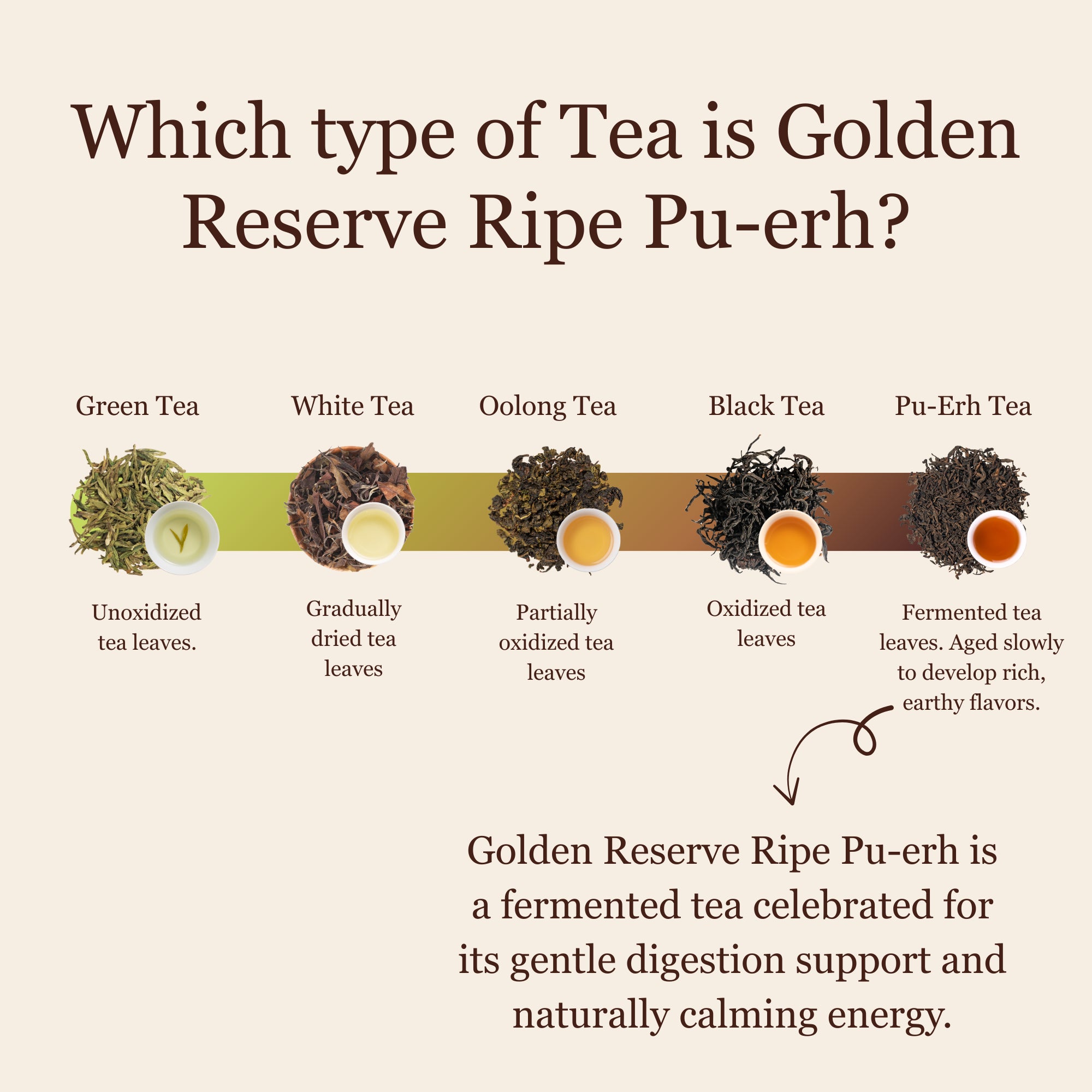 Golden Reserve Ripe Pu-erh – 50g / 1.8oz
