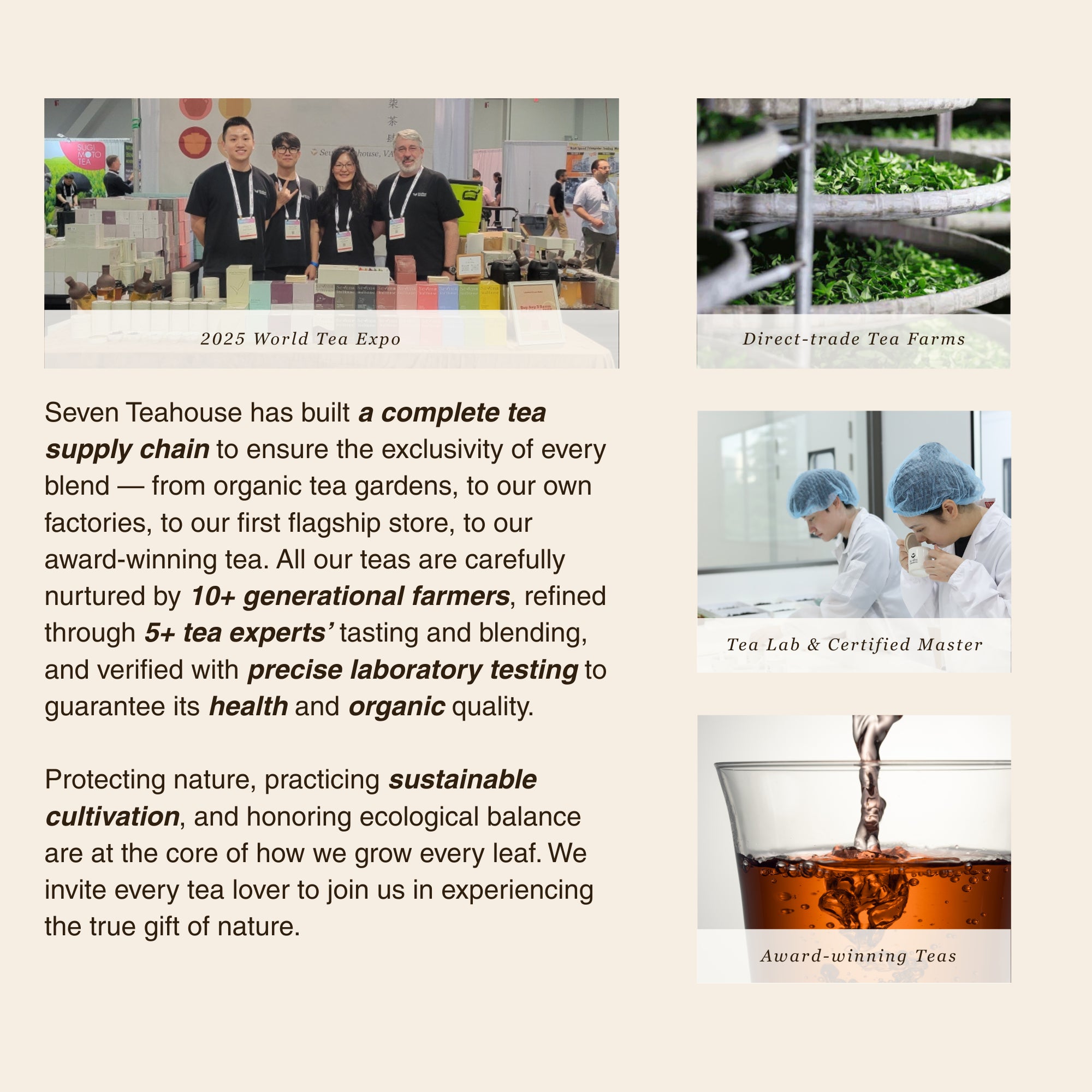 Golden Reserve Ripe Pu–erh