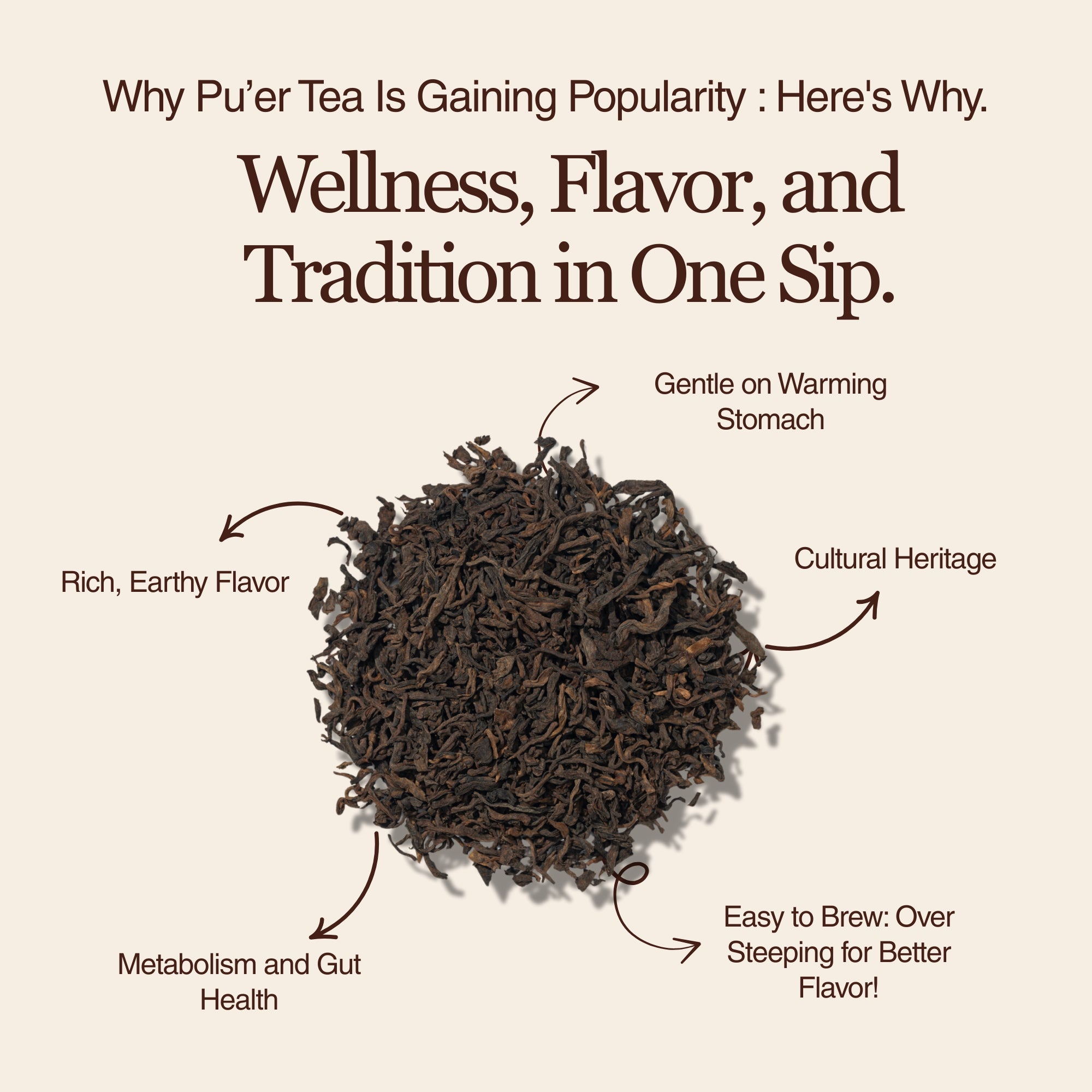 Golden Reserve Ripe Pu-erh – 50g / 1.8oz
