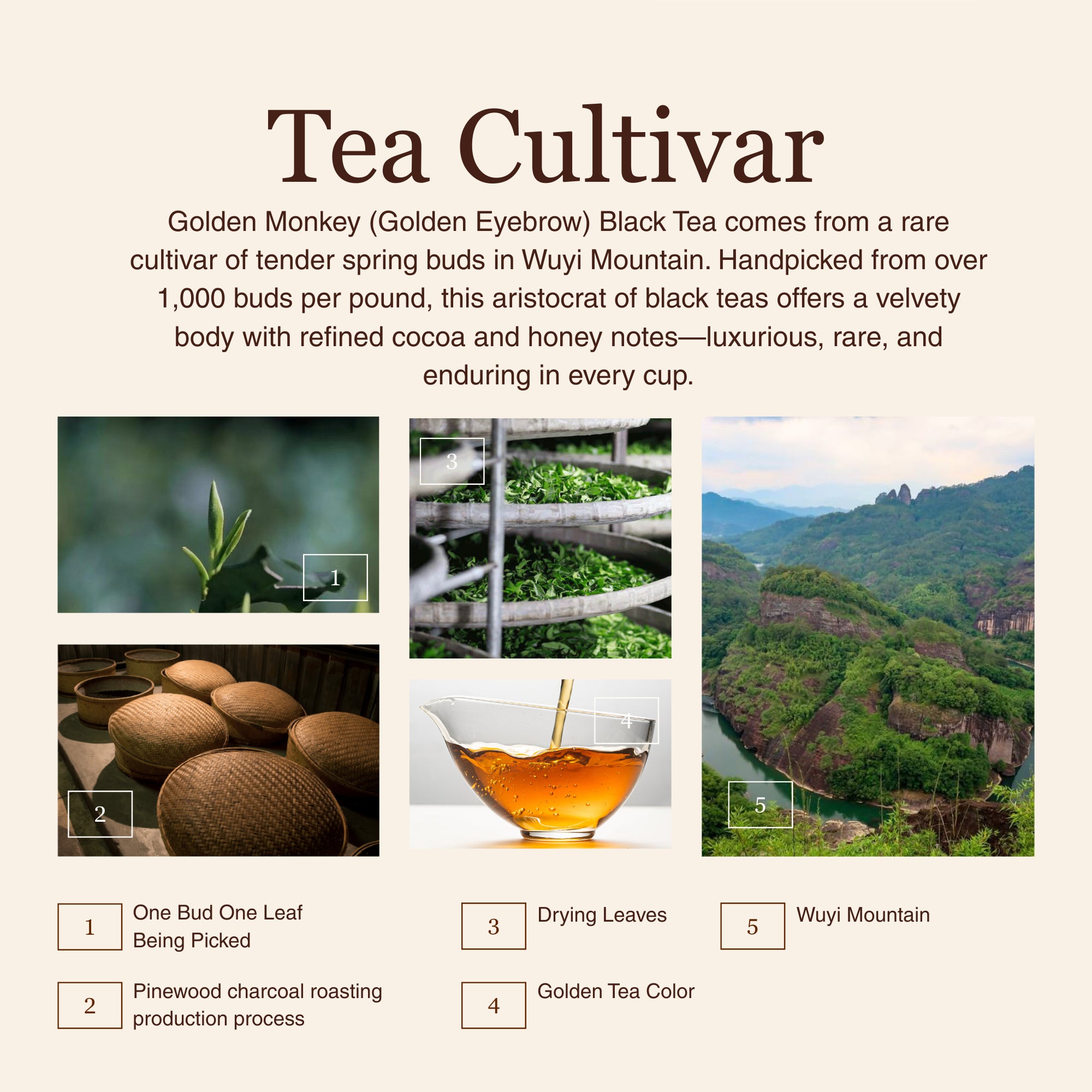 Golden Monkey Black Tea - 50g/1.8oz