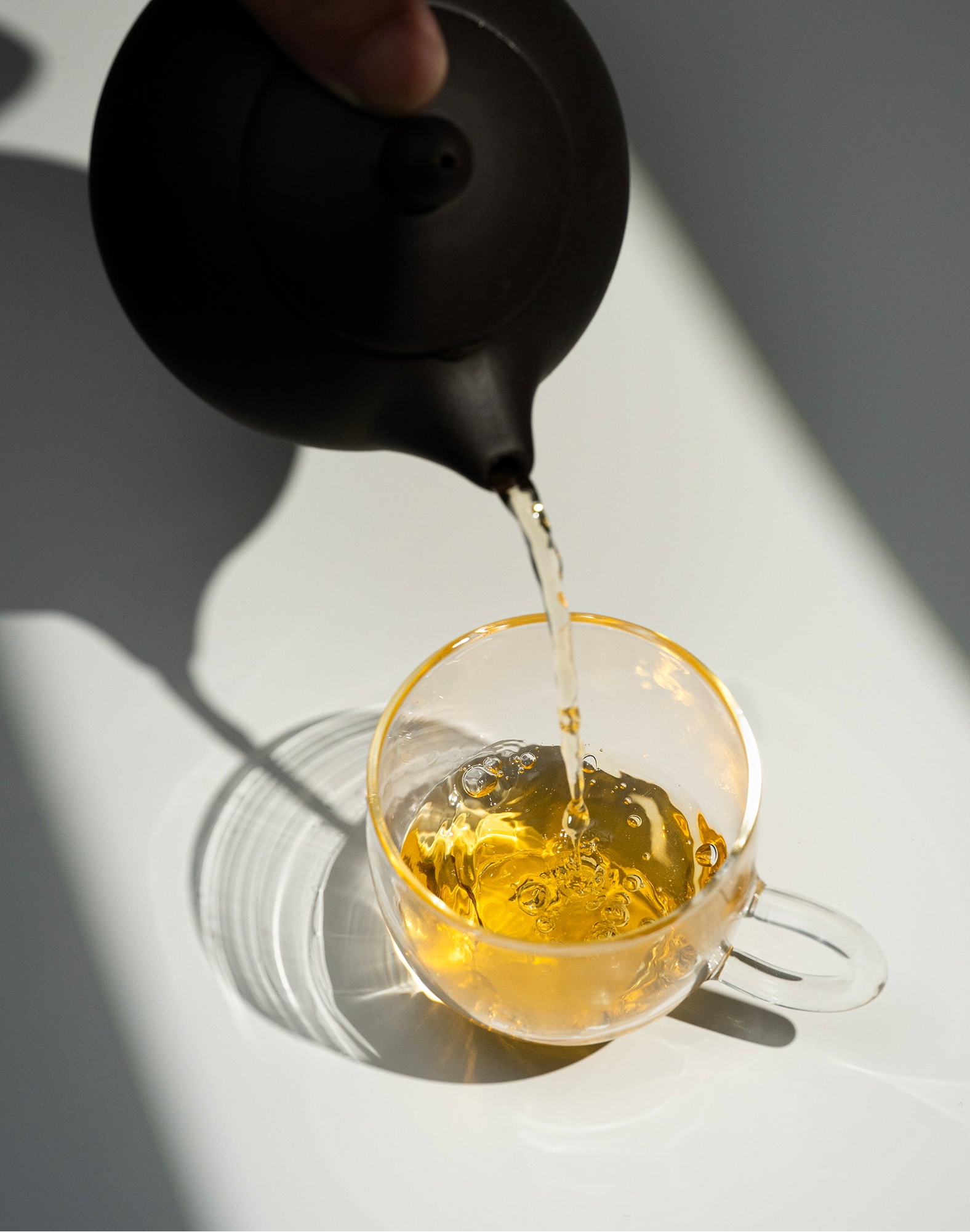 Golden Sprout Yellow Tea