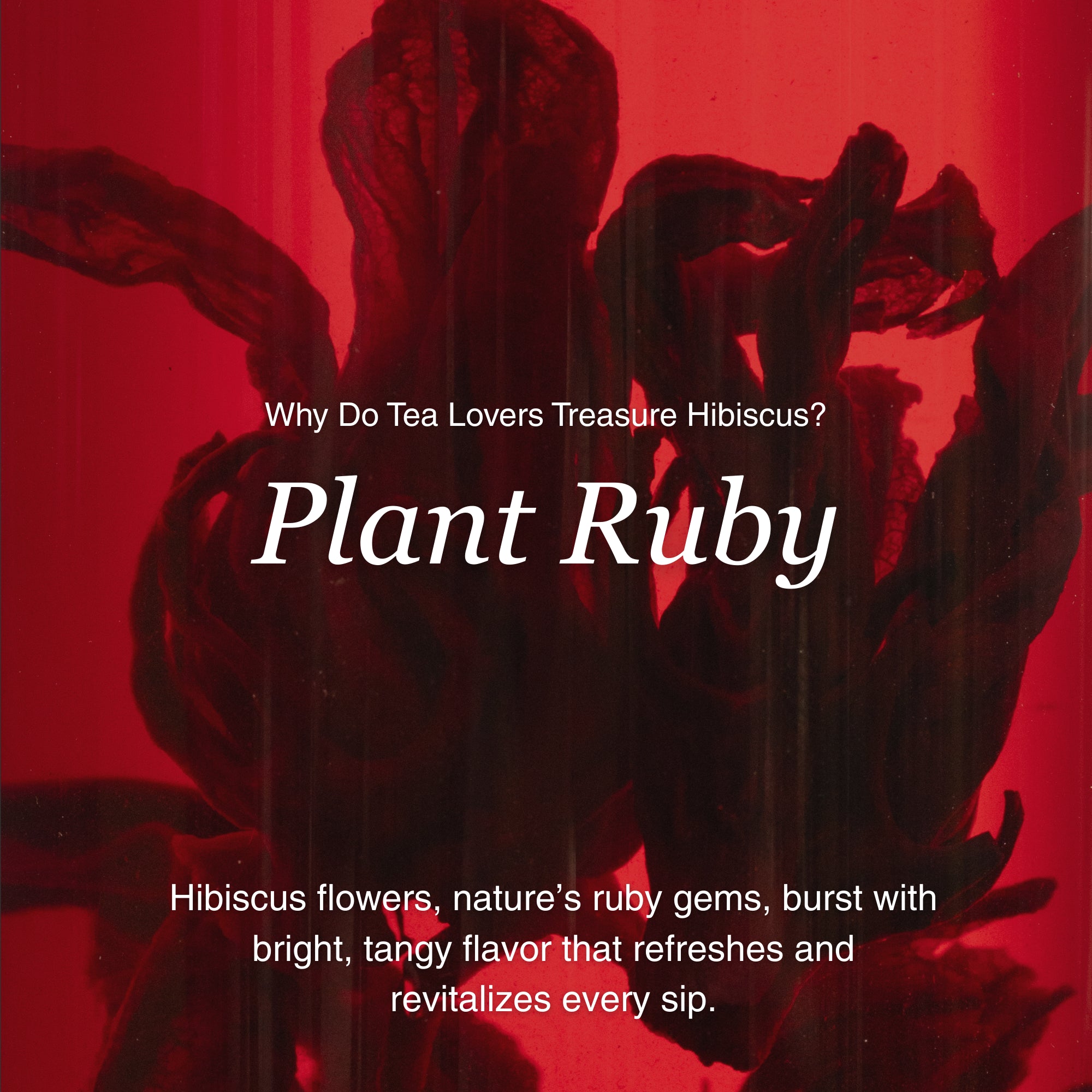 Hibiscus Herbal Tea – 80g/2.8oz