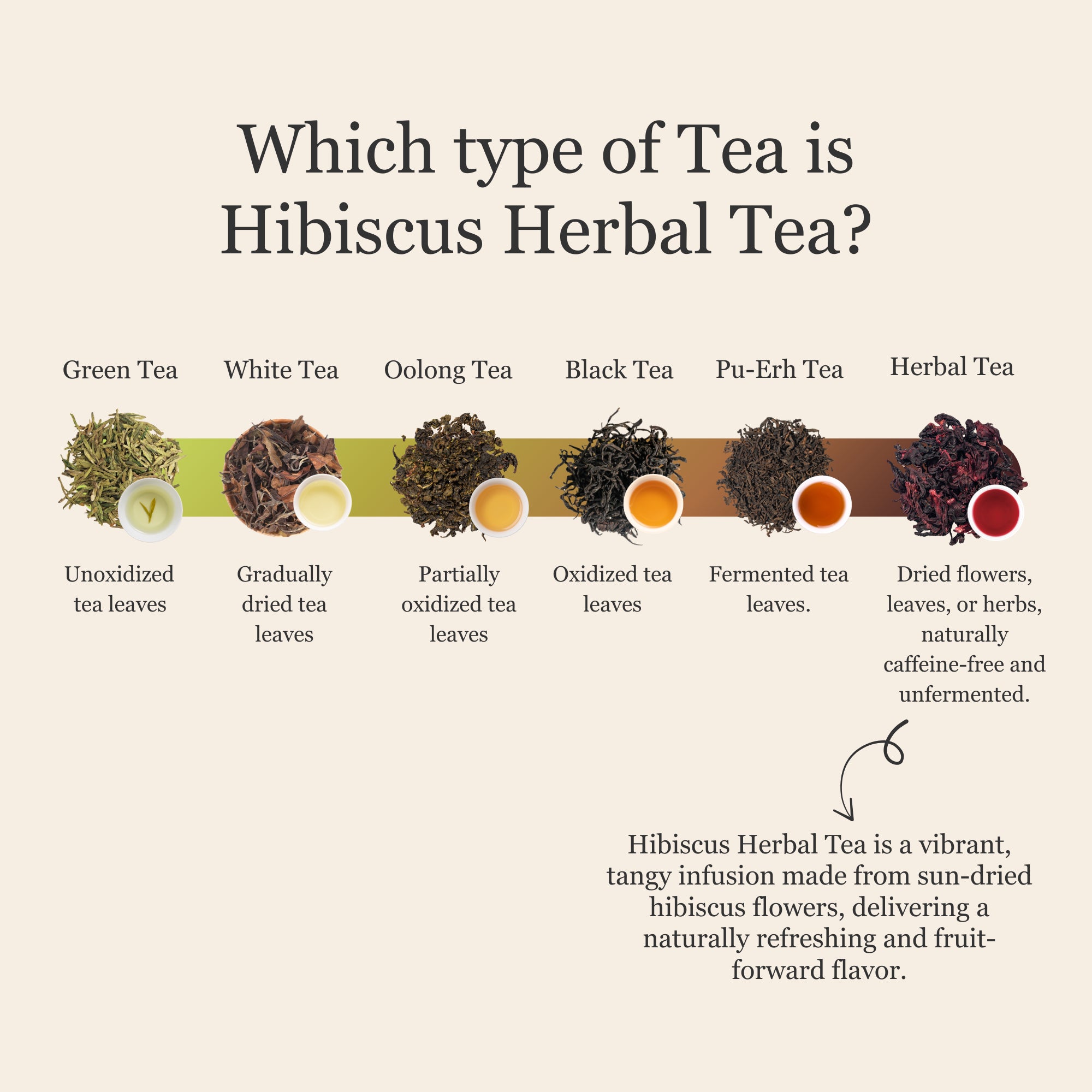 Hibiscus Herbal Tea – 80g/2.8oz
