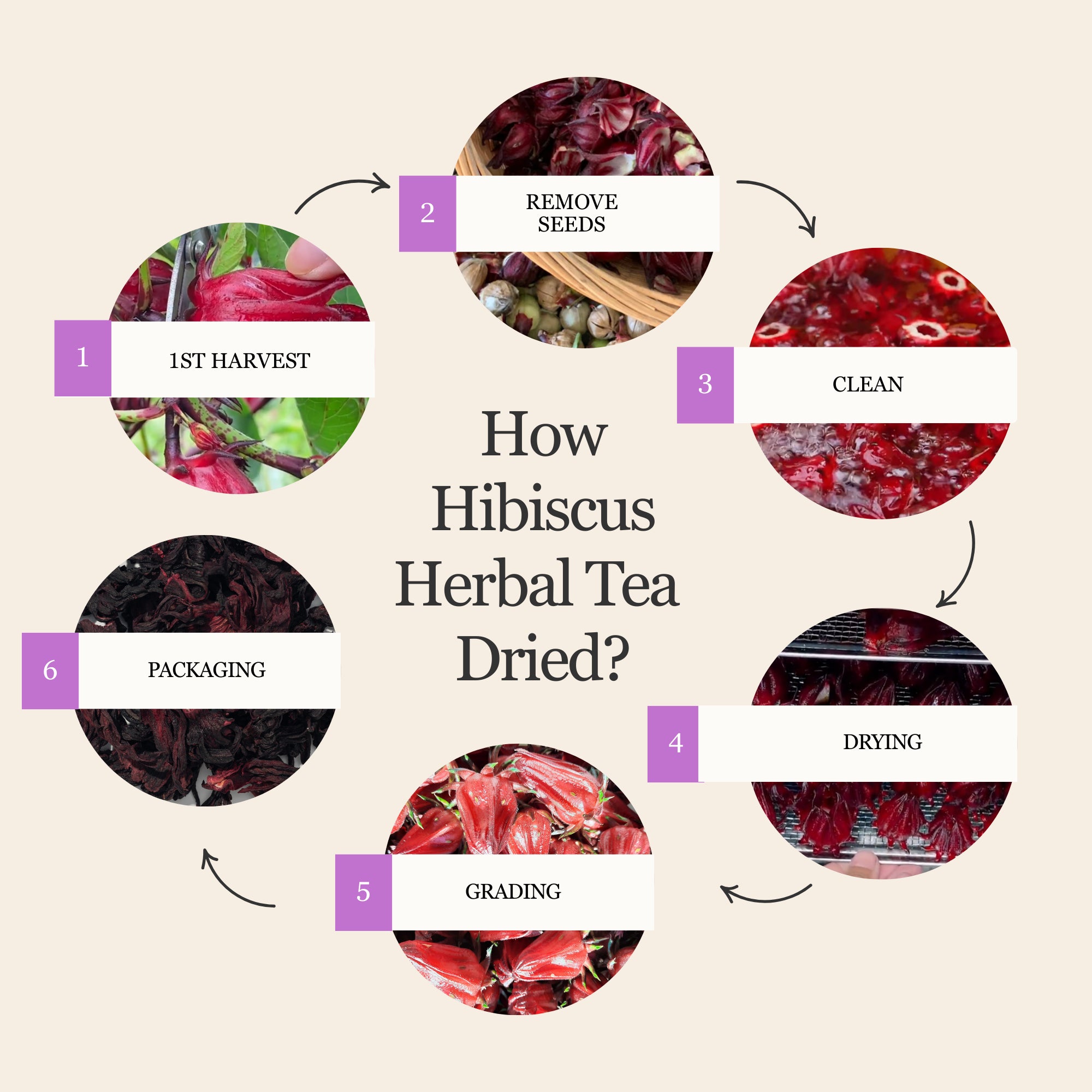 Hibiscus Herbal Tea – 80g/2.8oz