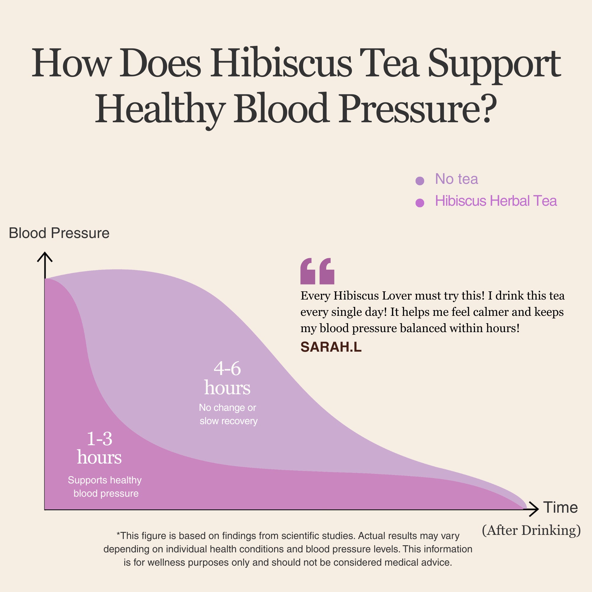 Hibiscus Herbal Tea – 80g/2.8oz