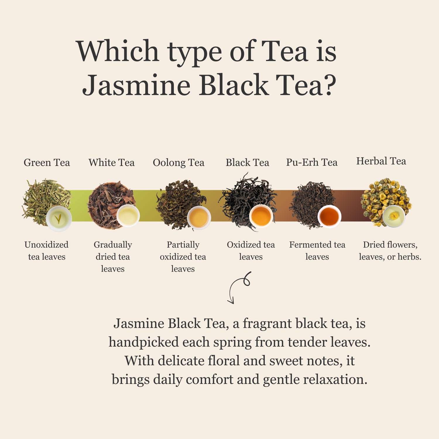 Jasmine Black Tea – 50g/1.8oz