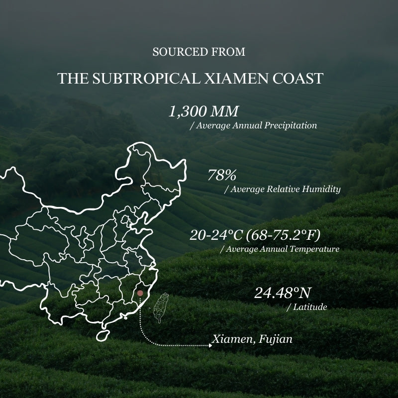 Lychee Artisan Black Tea