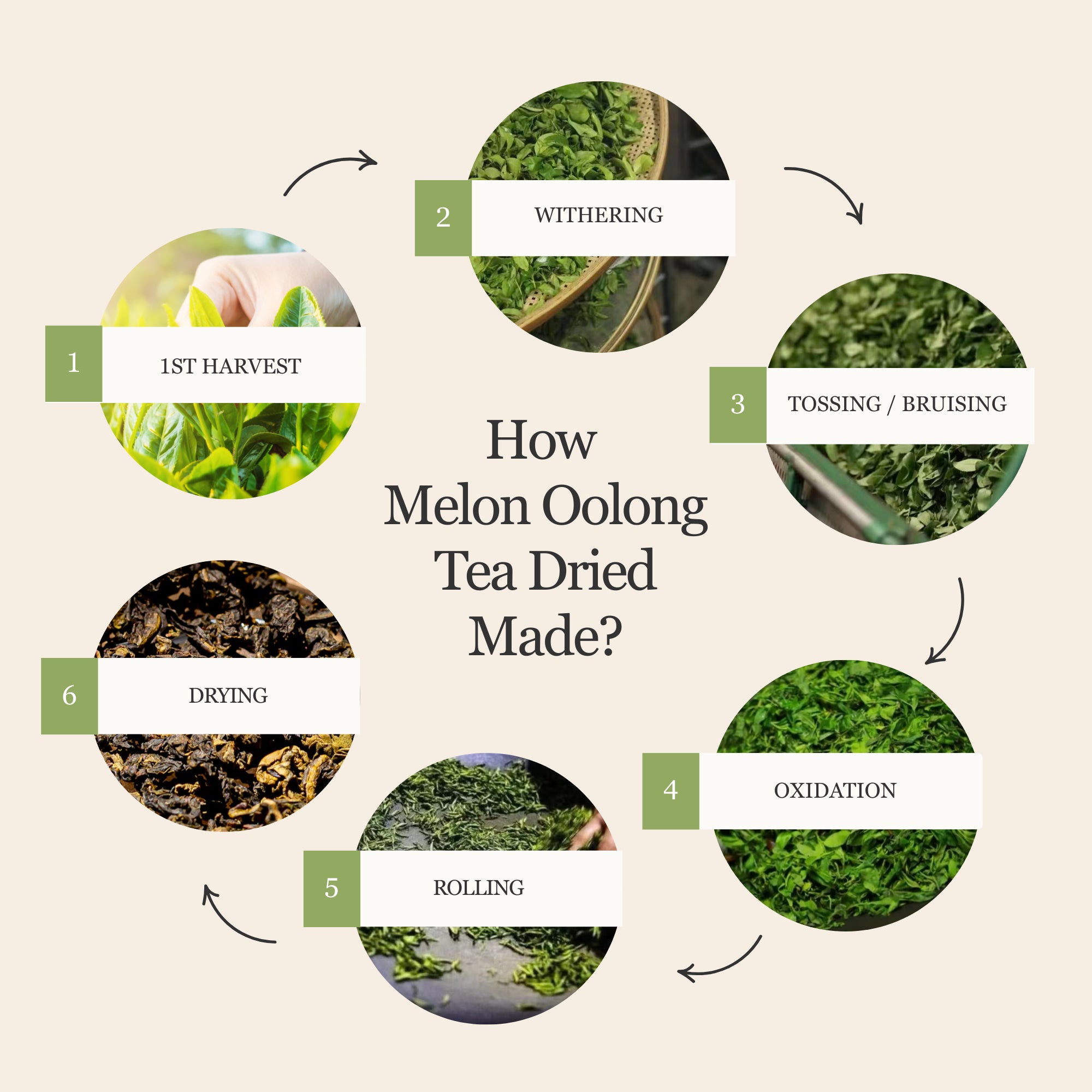 Melon Oolong Tea
