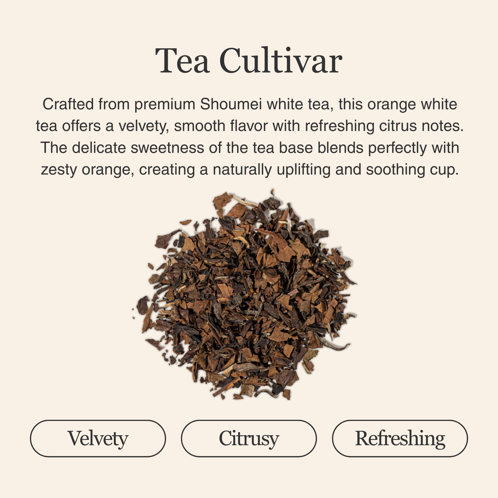 Orange White Tea