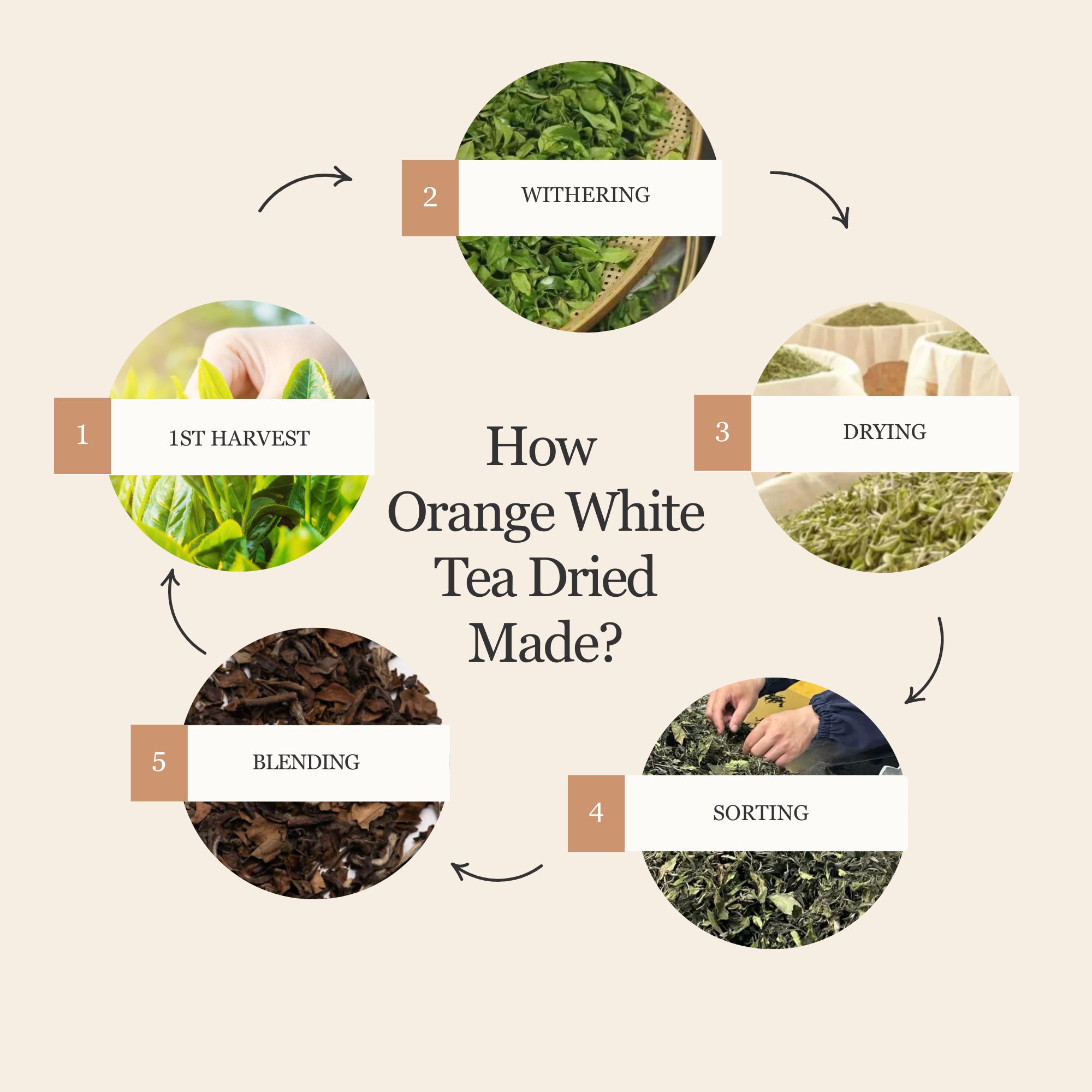 Orange White Tea