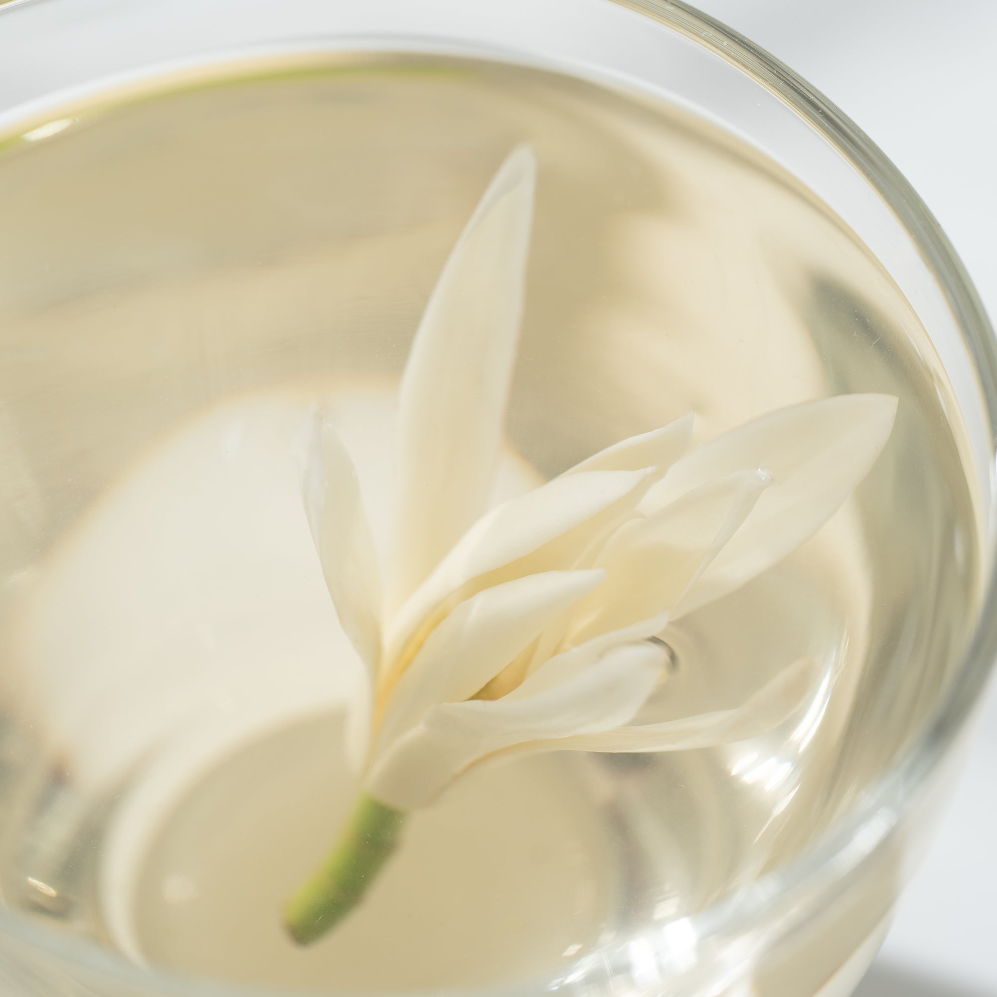 Orchid Frost Yellow Tea