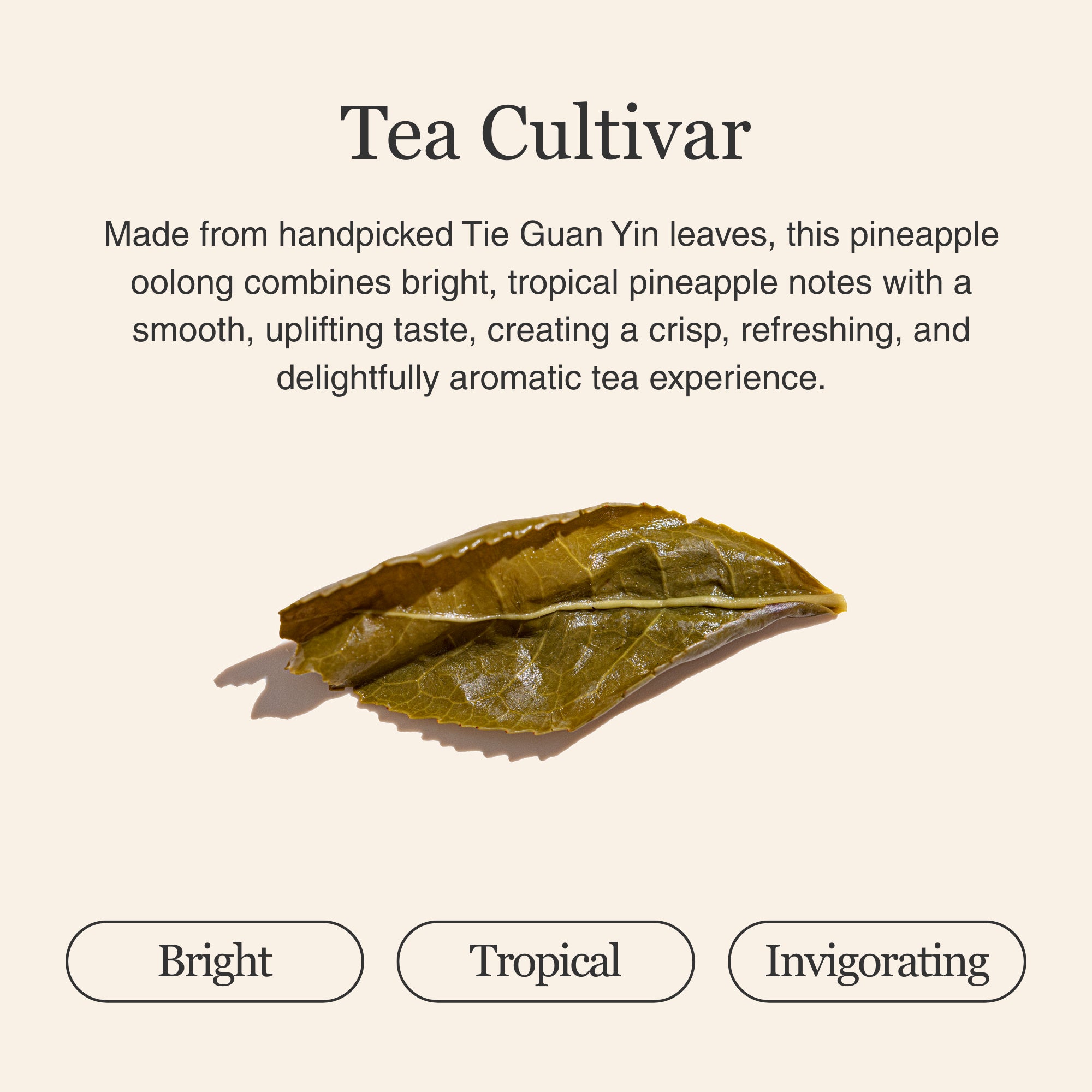 Pineapple Oolong Tea