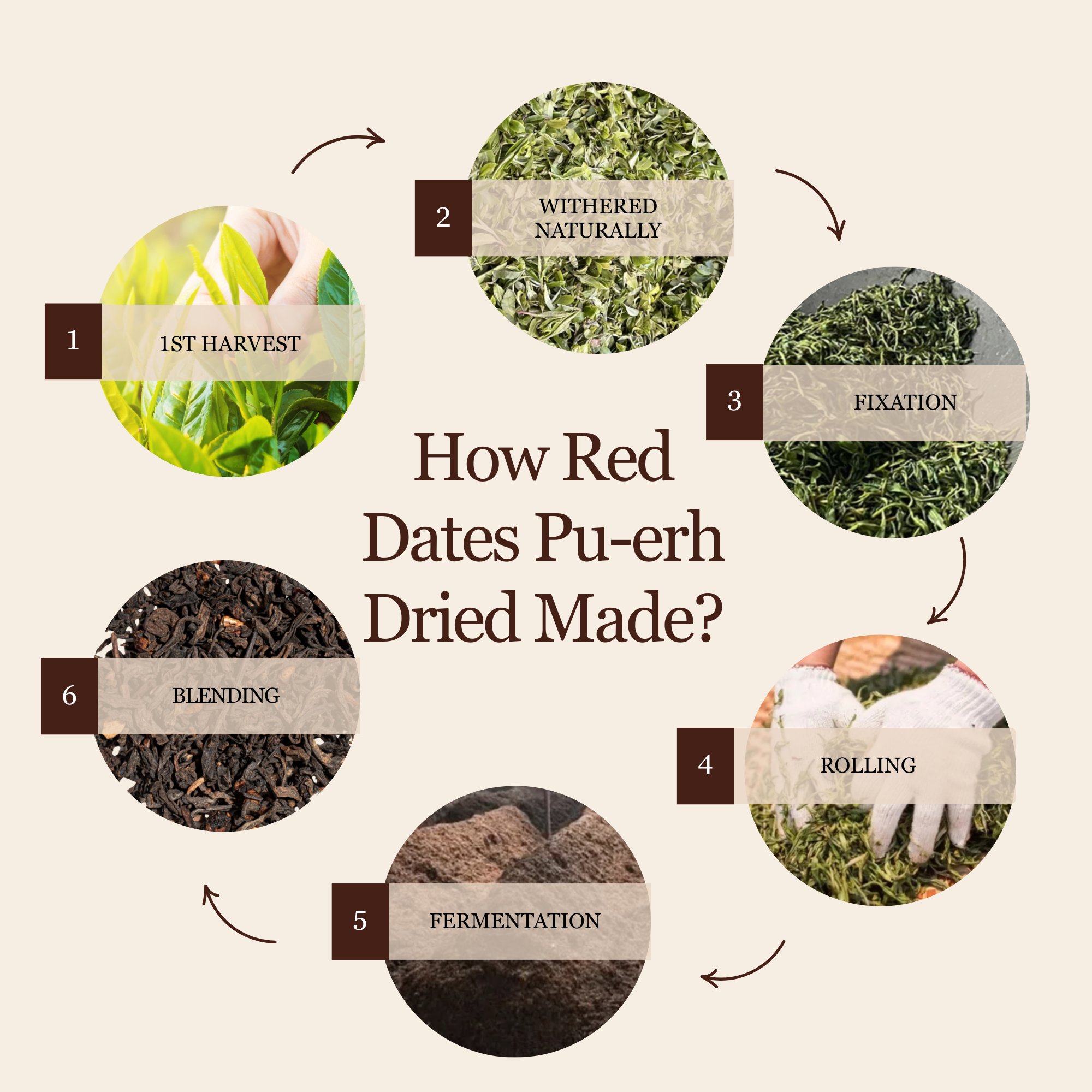 Red Dates Ripe Pu&