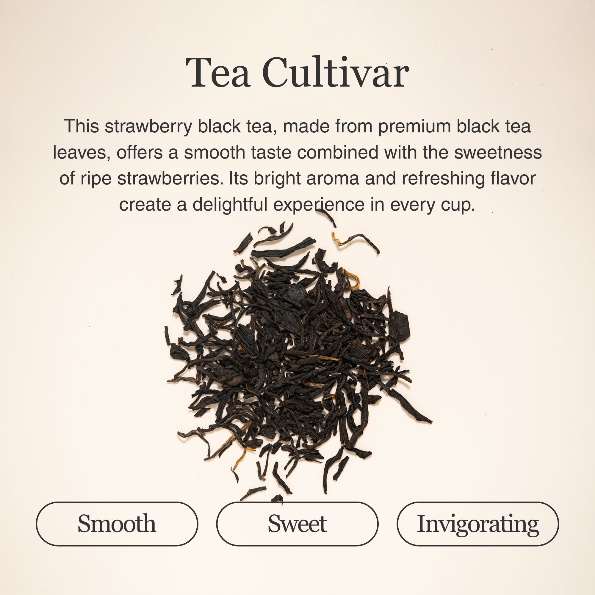 Strawberry Black Tea