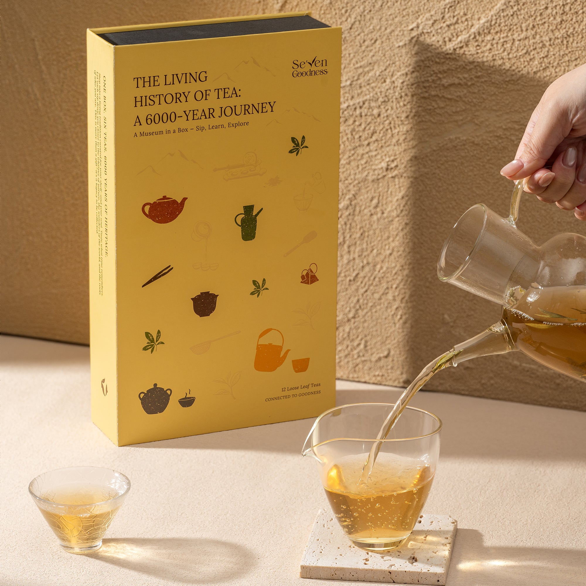 The Living History of Tea Gift Set | 6 Tea Types, 12 Packs