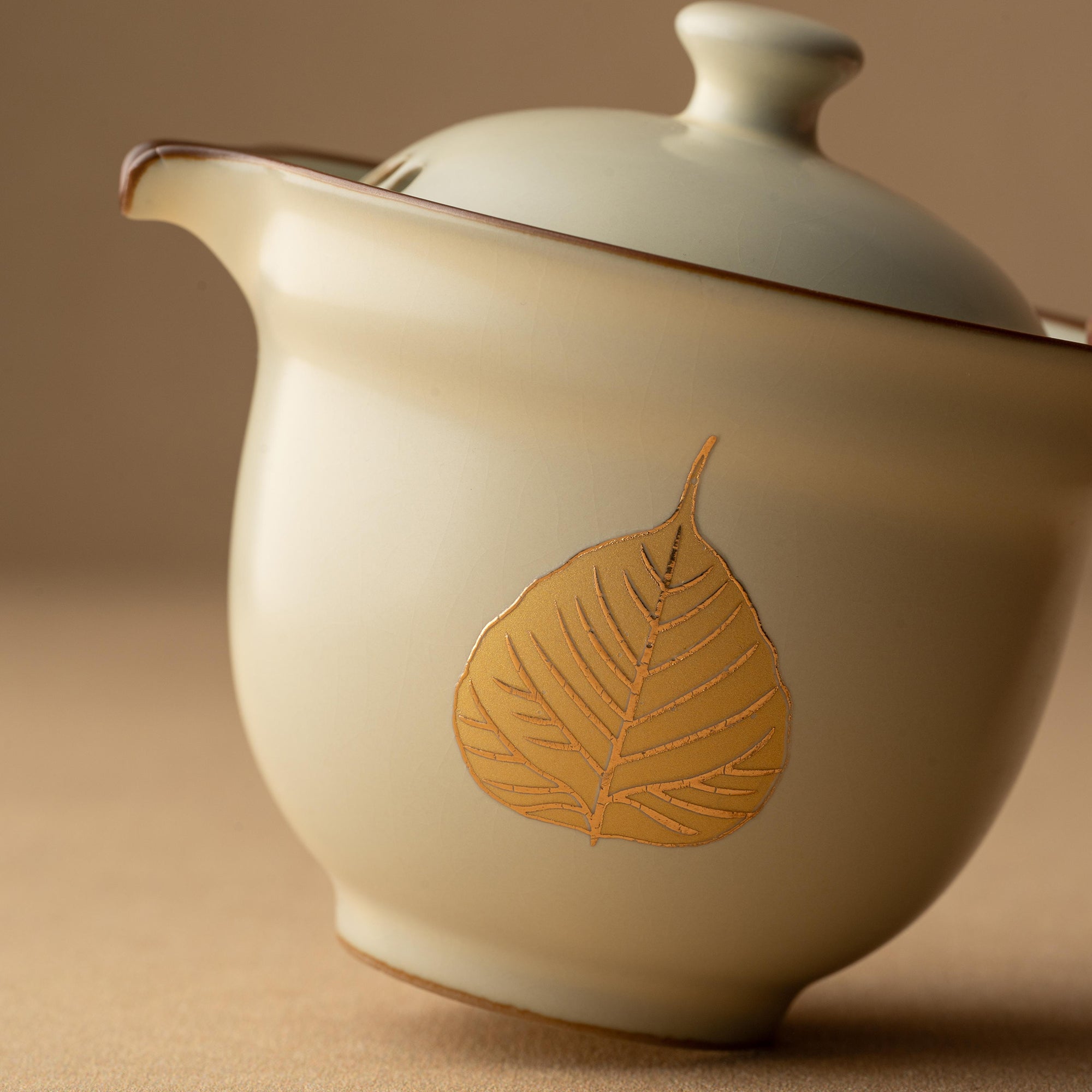 Portable Ceramic Gongfu Travel Tea Set | 1 Pot, 3 Cups & Travel Case