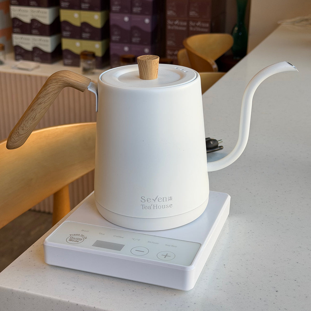 Temperature Control Gooseneck Kettle