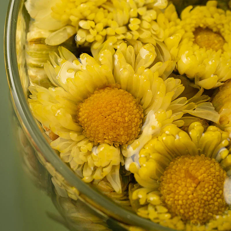 Chrysanthemum Tea: A 1,000-Year Herbal Remedy for Wellness – Seven Teahouse