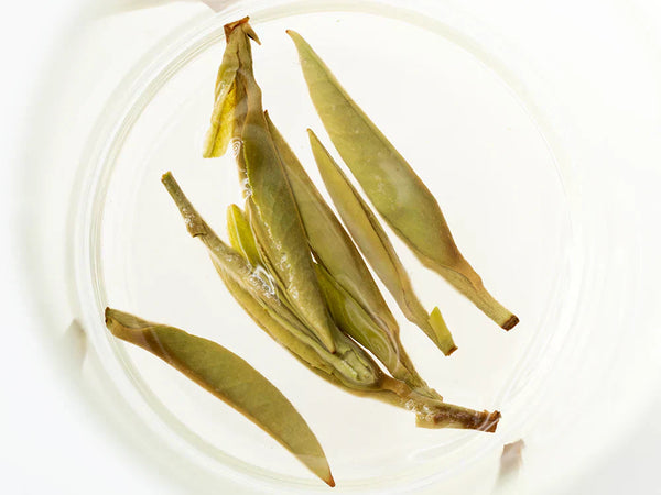 Tea 101 Ep. 04: The Secret Chemistry of Flavor & Caffeine