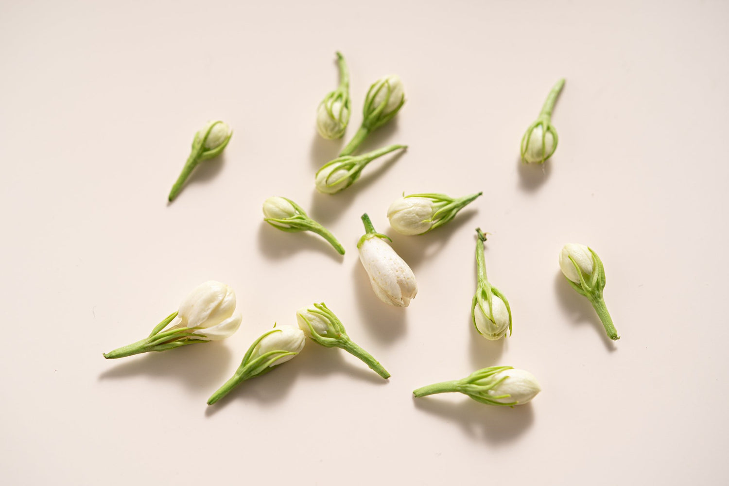 Floral Tea Bags