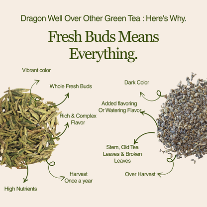 Imperial Dragon Well — 2025 Championship Tea WINNER