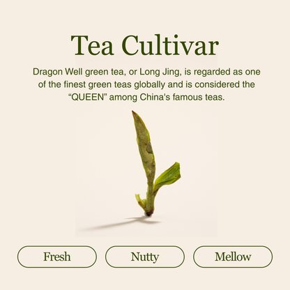 Imperial Dragon Well — 2025 Championship Tea WINNER