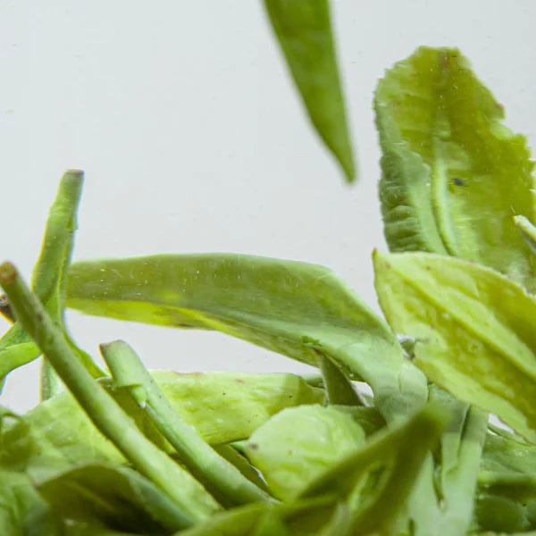 Best Tea: How to Identify High-Quality Tea with Aroma and Taste