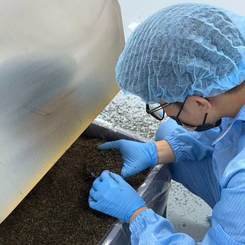 Safety Is Part of Quality