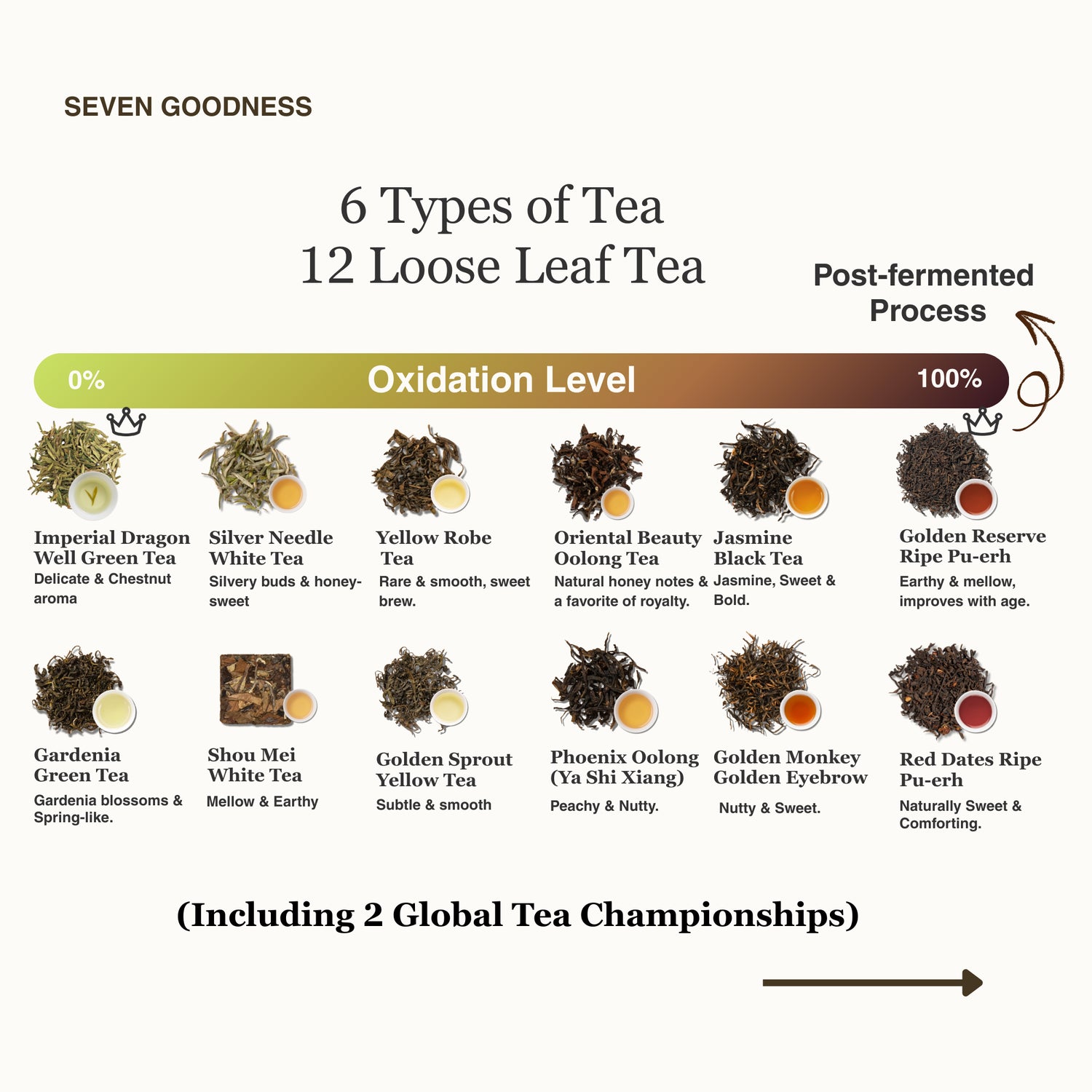 Living History Tea Gift Set | 6 Types, 12 Packs | 1.07 sqft. Tea Museum