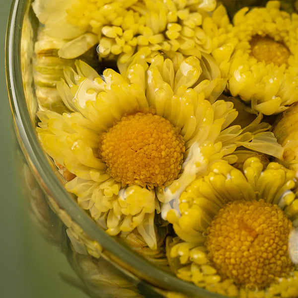Chrysanthemum Tea: A 1,000-Year Herbal Remedy for Wellness