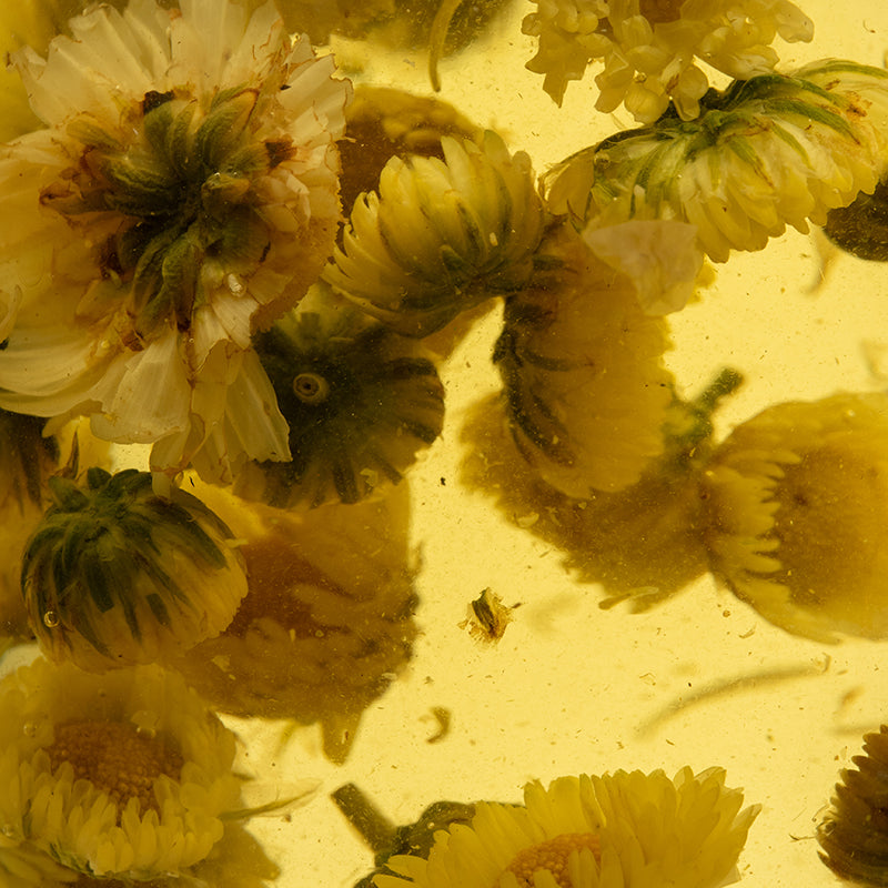 Chrysanthemum Herbal Tea – 80g