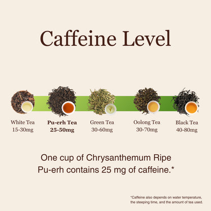 Chrysanthemum Ripe Pu&