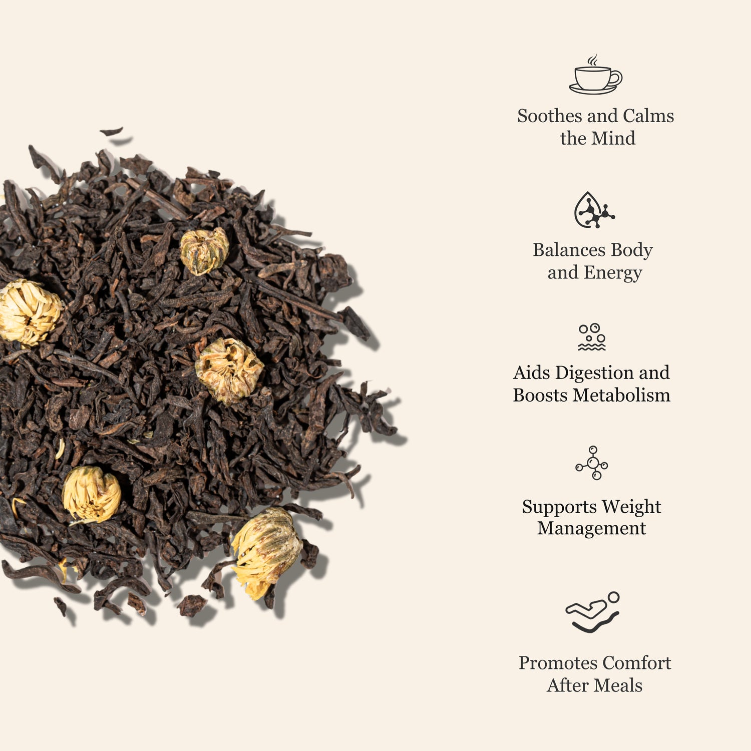Chrysanthemum Ripe Pu&