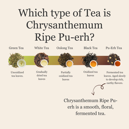 Chrysanthemum Ripe Pu&