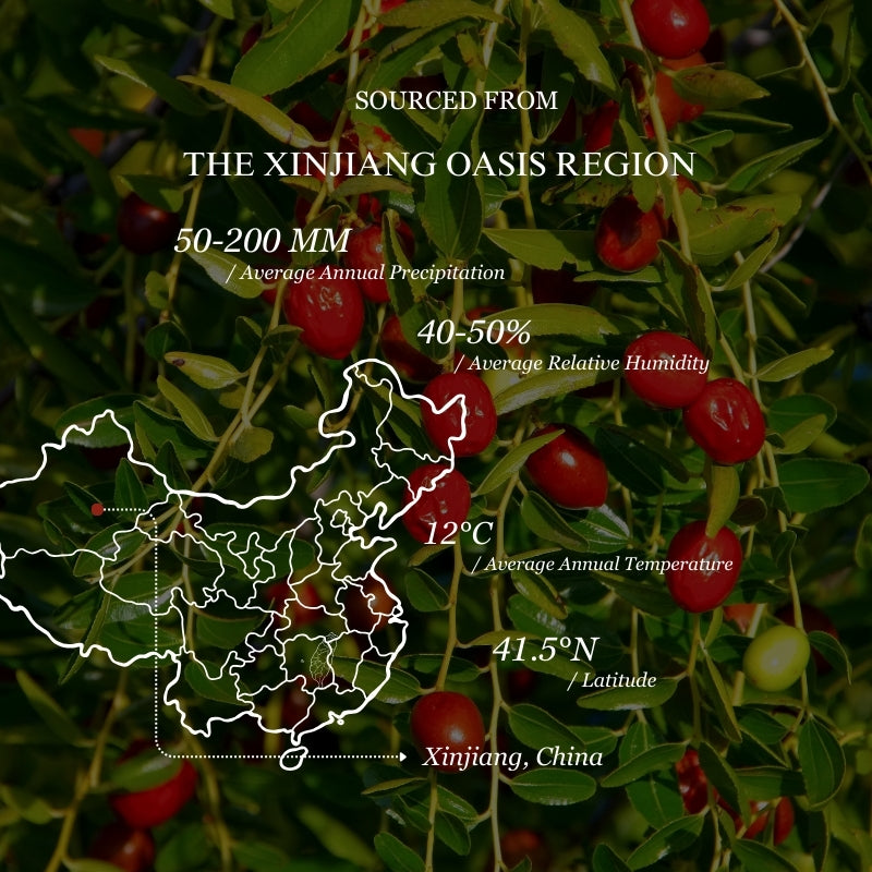Dried Red Dates, A Treasure from the Heart of Xinjiang