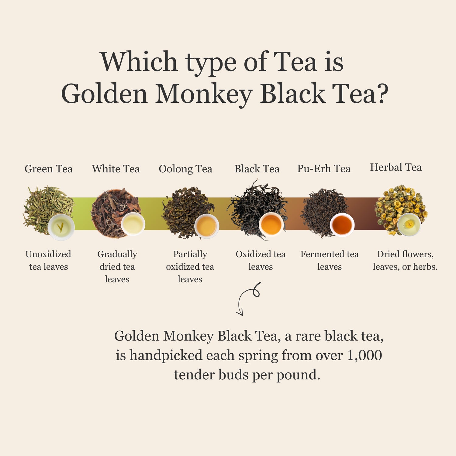 Golden Monkey Black Tea - 50g/1.8oz